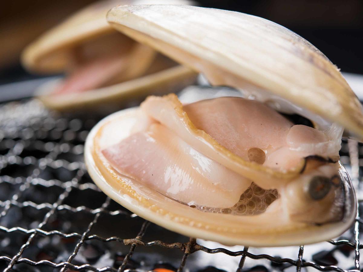 Spa&Resort Kujukuri Taiyou-no-sato Chosi Værelse billede